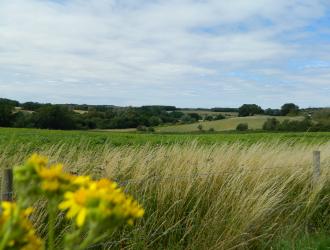 open fields