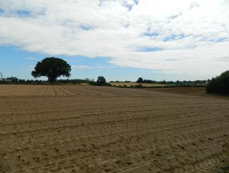 view at back of church