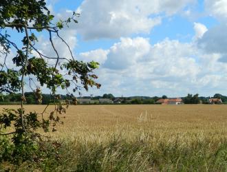 Forge Close Field
