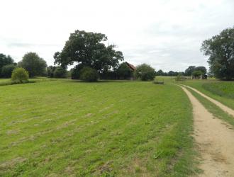 footpath