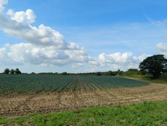 Slip Ponds Field