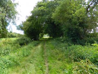 footpath
