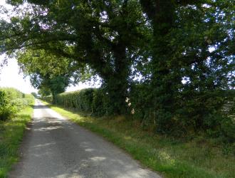 Tenth Road