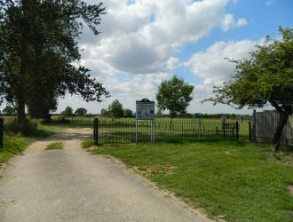 Playing Field