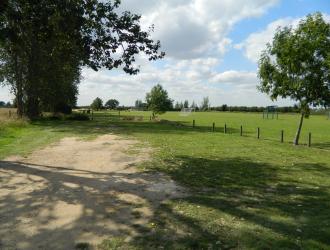 Playing Field