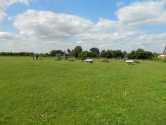 Playing Field