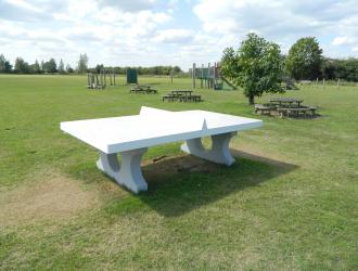 Playing Field