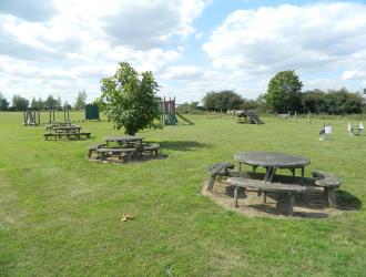 Playing Field