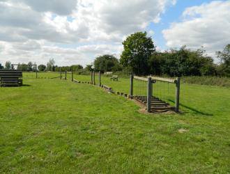 Playing Field