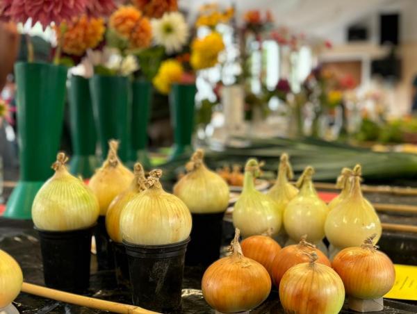 produce show onions