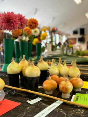 produce show onions3