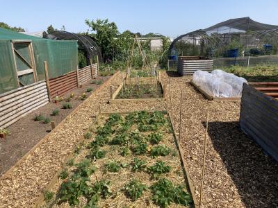 Plot 19