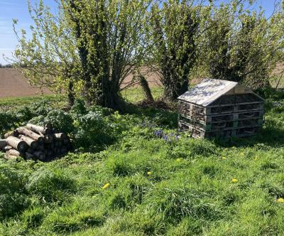 bee hotel