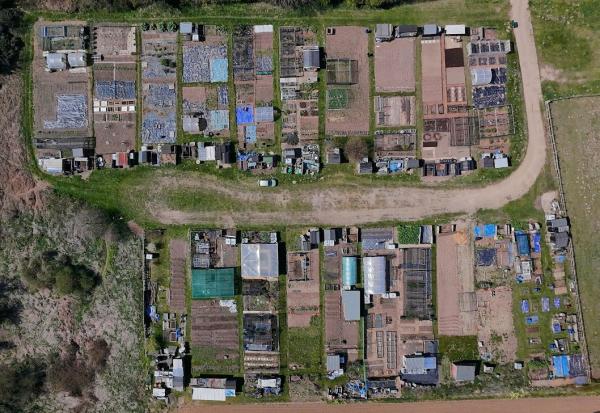 Allotments photo