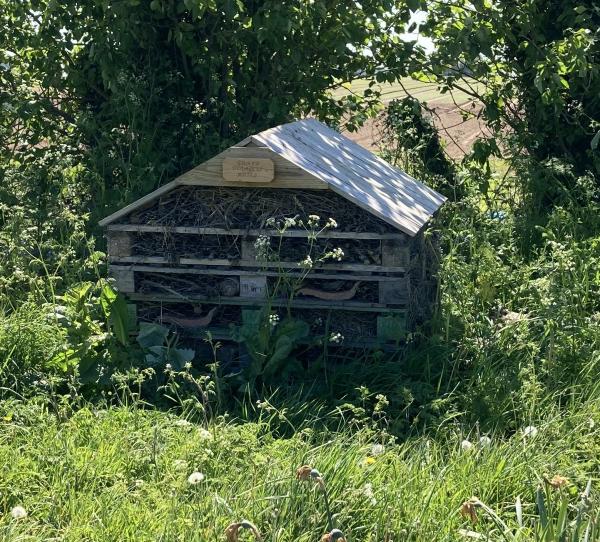 large bug hotel2