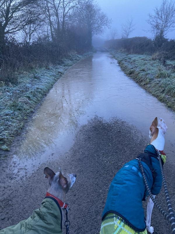 floods